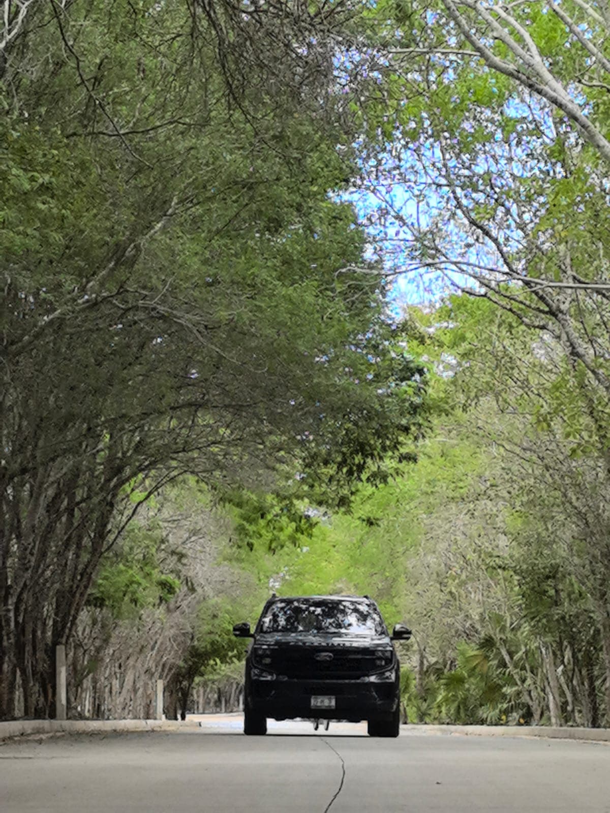 SUV negra de Qwantour en una carretera arbolada de la Riviera Maya
